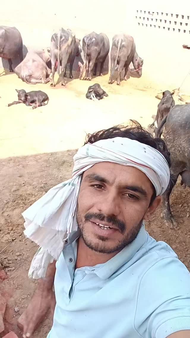 Post 7 by Ravi Khasa on Instagram (video)