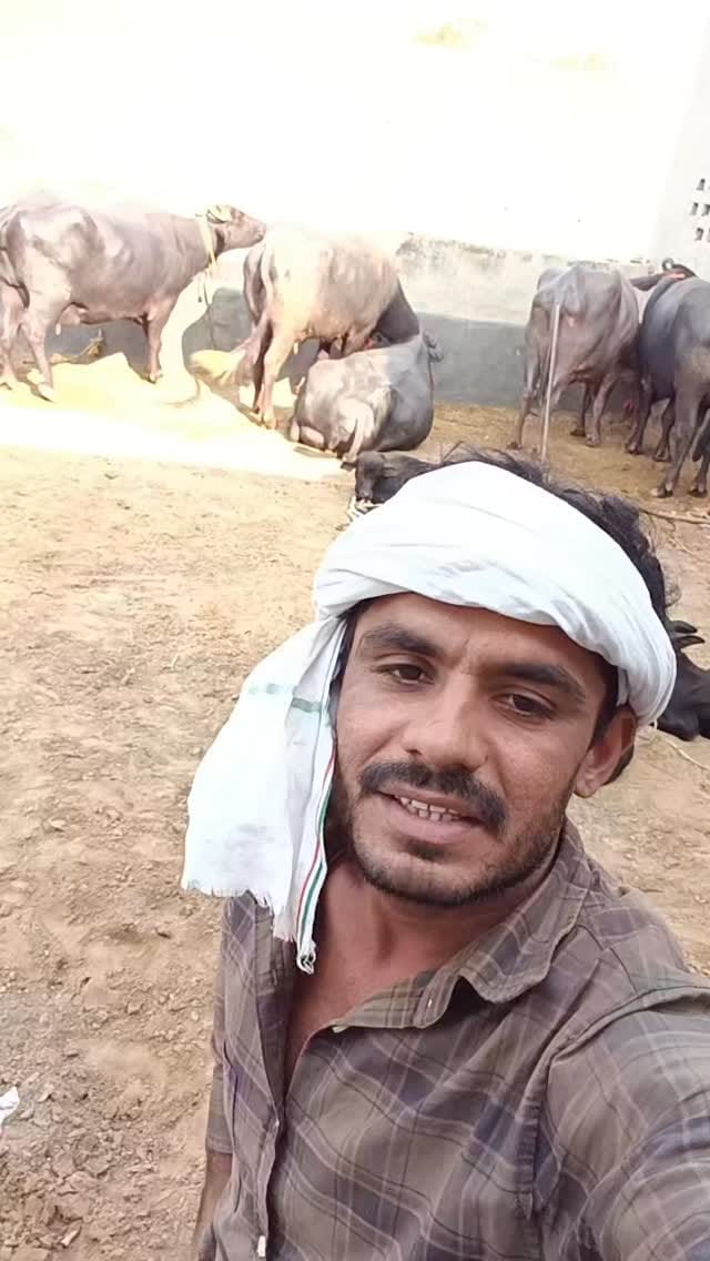 Post 9 by Ravi Khasa on Instagram (video)