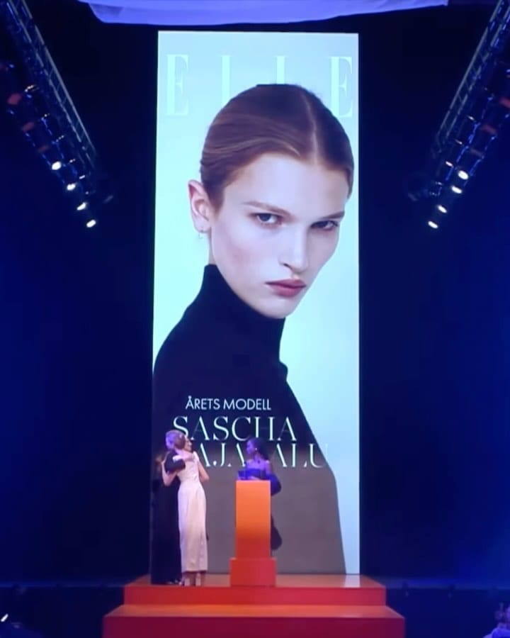 Post 8 by 𝘚𝘢𝘴𝘤𝘩𝘢 🩰🦢 on Instagram (video)