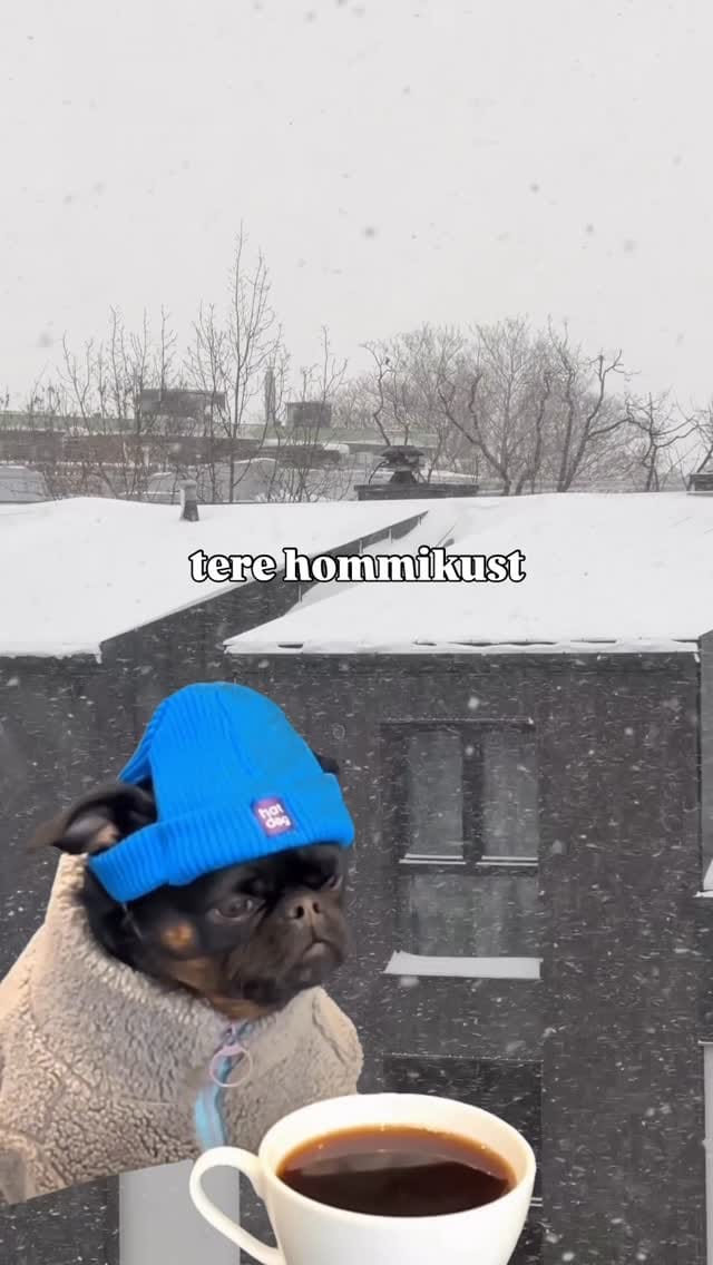 Post 7 by TERE Tallinn | Life in Estonia 🇪🇪 on Instagram (video)