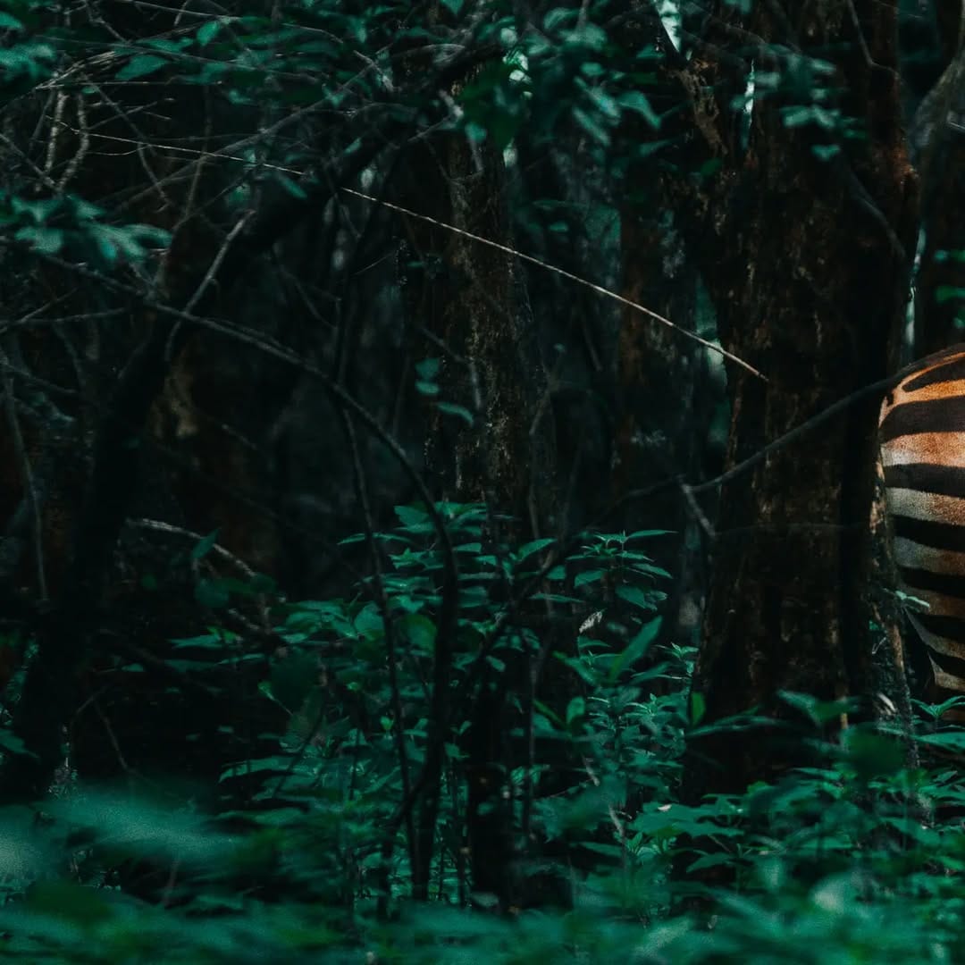 Post 7 by Margus Vilbas, PhD on Instagram (image)