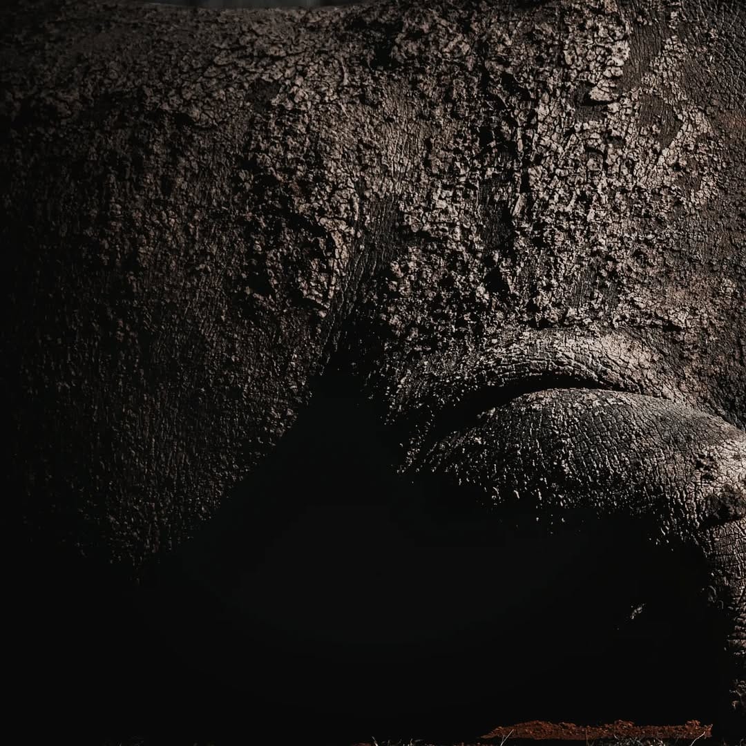 Post 1 by Margus Vilbas, PhD on Instagram (image)