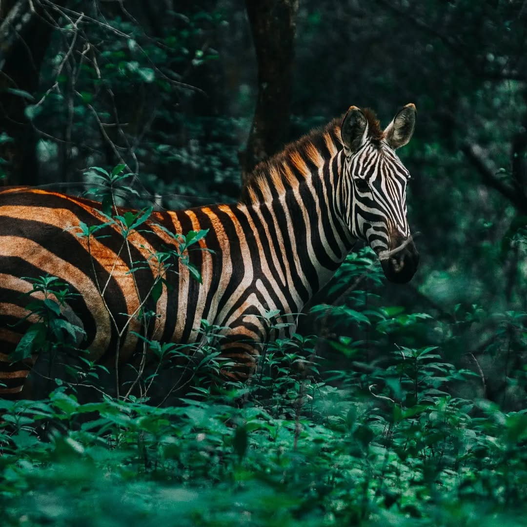 Post 8 by Margus Vilbas, PhD on Instagram (image)