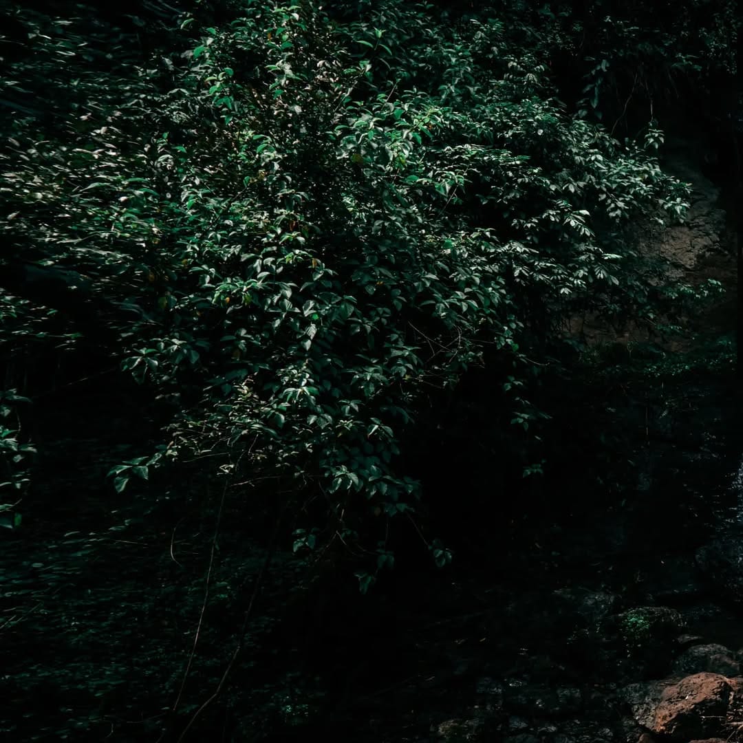 Post 10 by Margus Vilbas, PhD on Instagram (image)