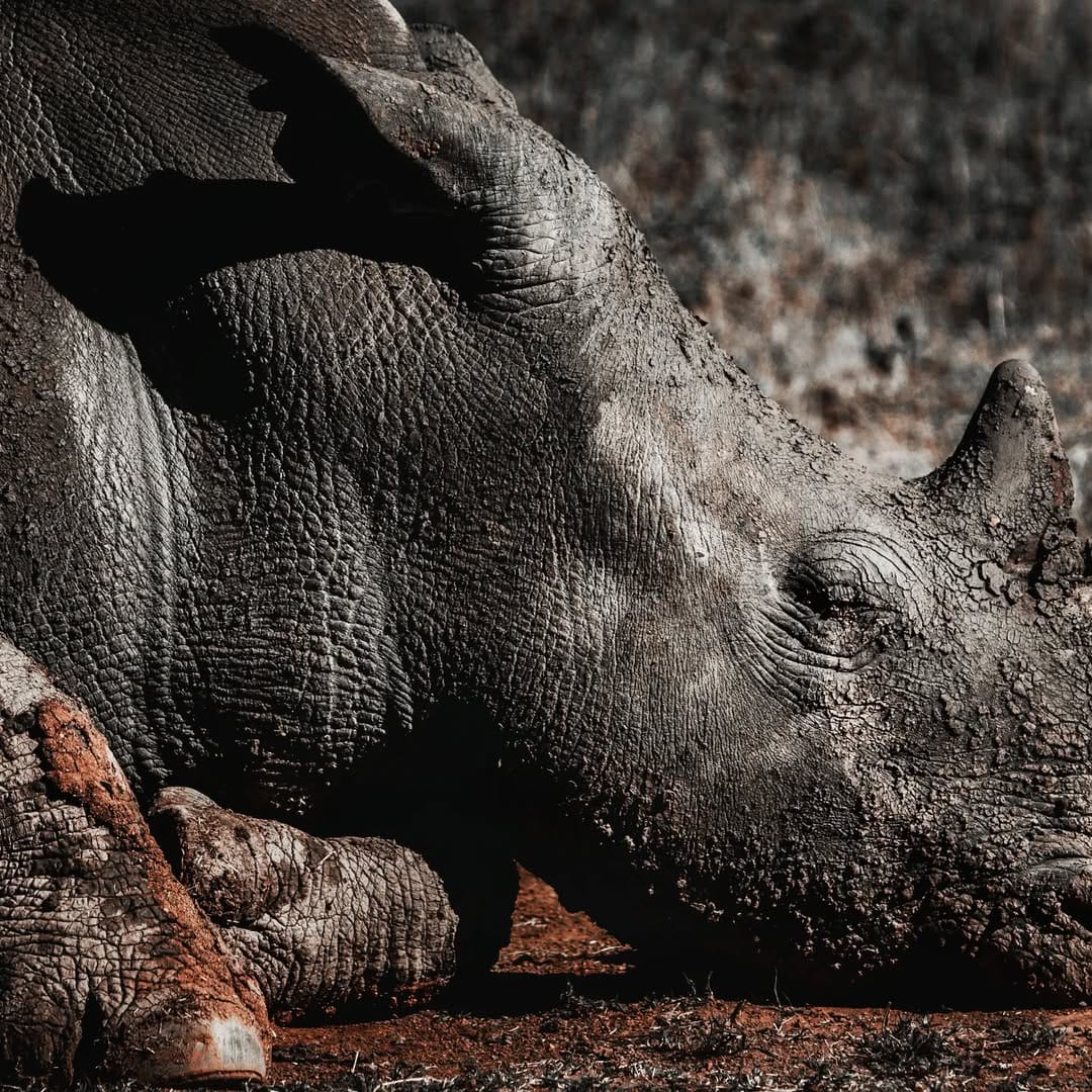 Post 2 by Margus Vilbas, PhD on Instagram (image)