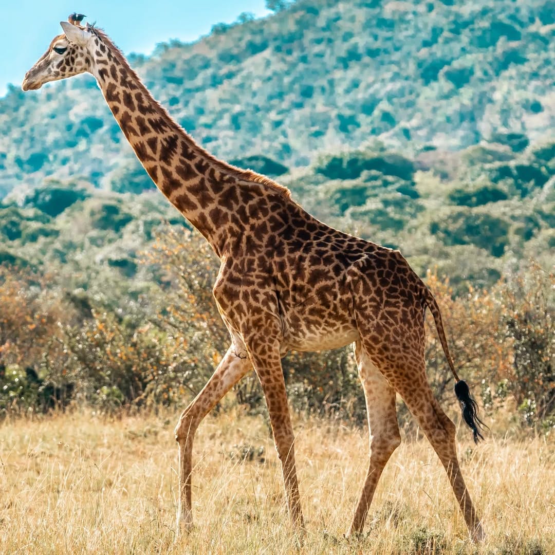 Post 5 by Margus Vilbas, PhD on Instagram (image)