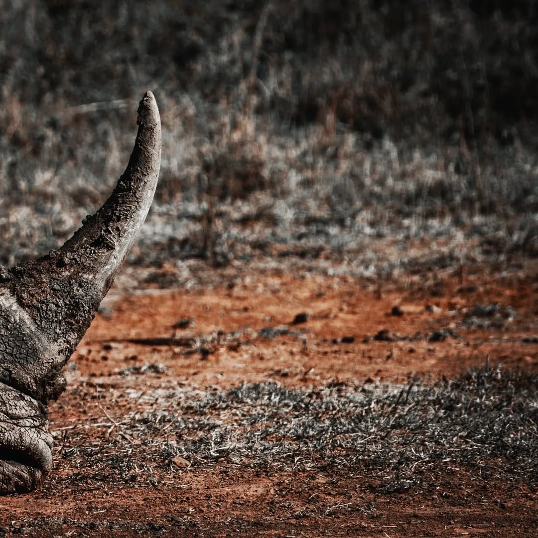 Post 3 by Margus Vilbas, PhD on Instagram (image)
