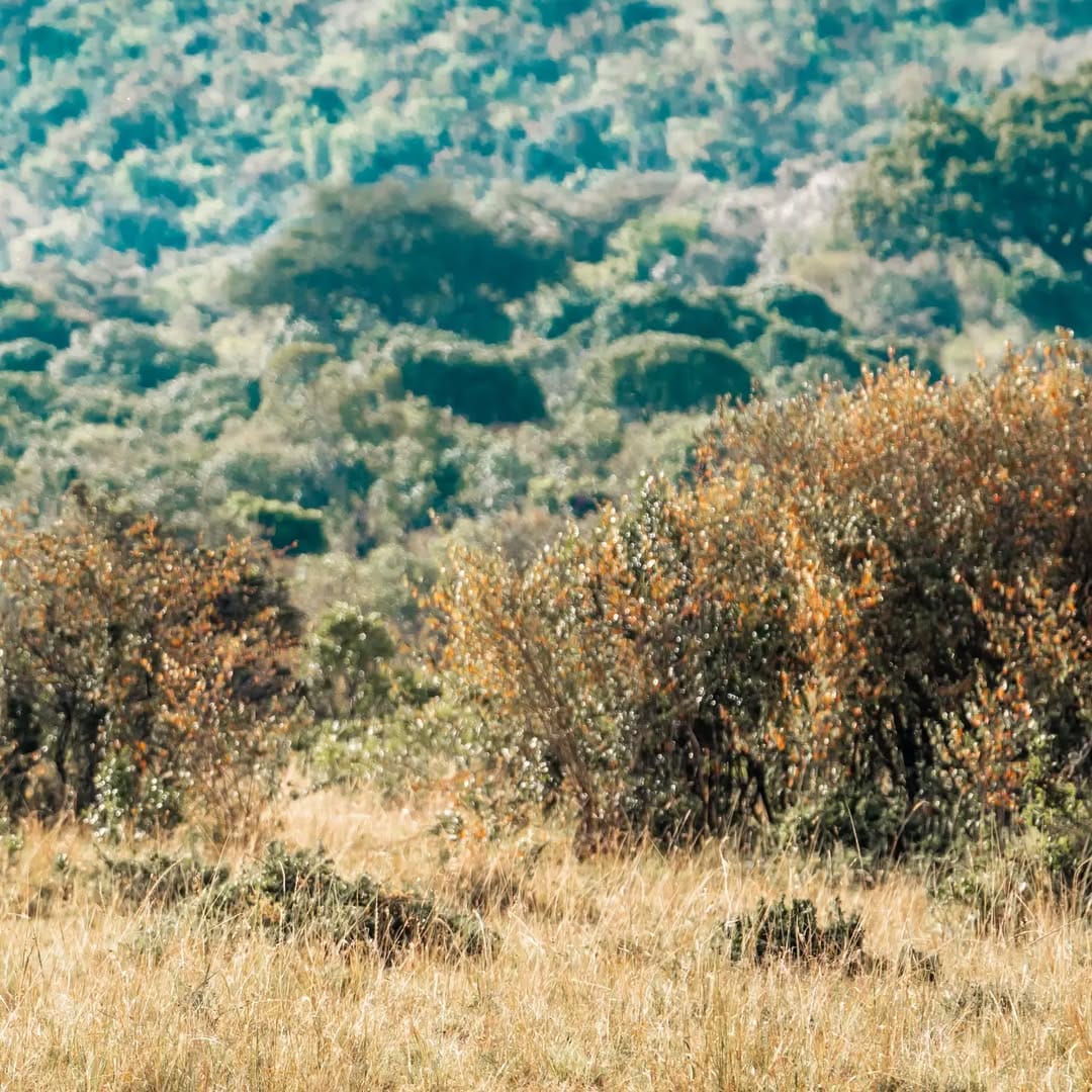 Post 6 by Margus Vilbas, PhD on Instagram (image)