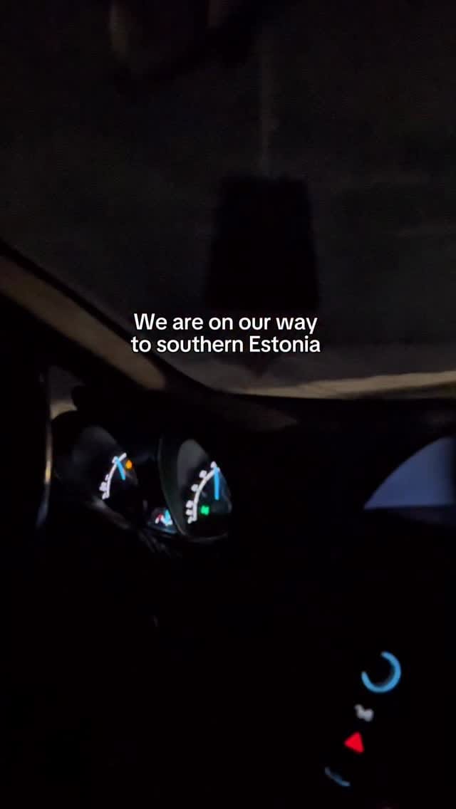 Post 8 by Lauren Reinik on Instagram (video)