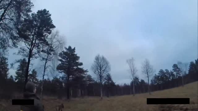 Post 7 by Politsei- ja Piirivalveameti teenistuskoerad on Instagram (video)