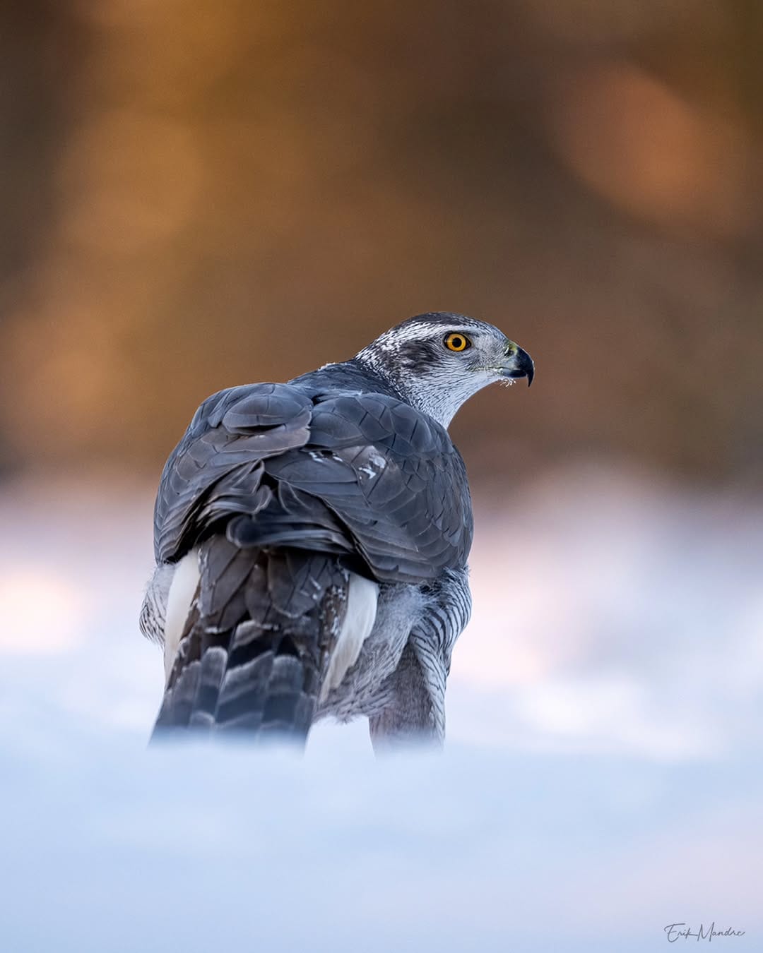 Post 6 by Erik Mandre on Instagram (image)
