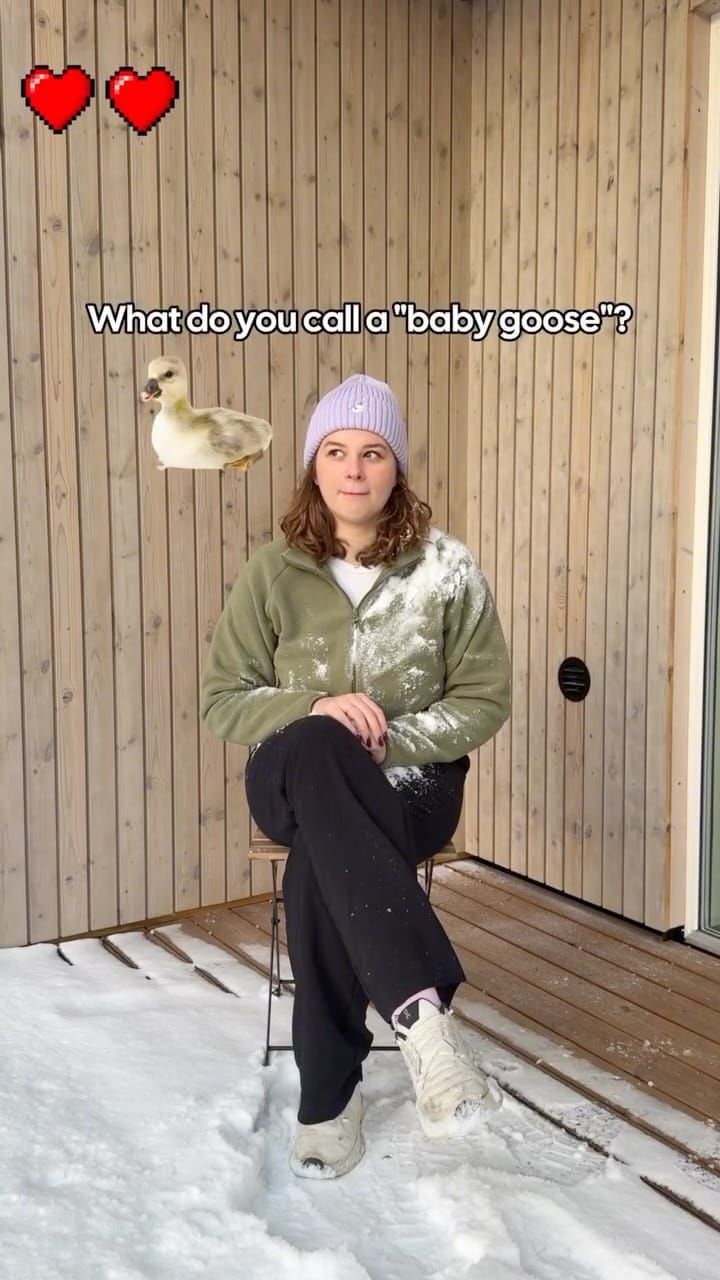 Post 9 by Katerina Kulp on Instagram (video)