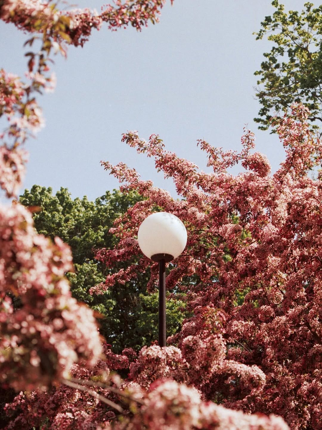 Post 3 by Andrea Inés ~ Fotografía Analógica on Instagram (carousel)