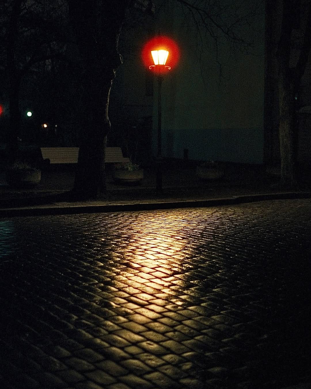 Post 9 by Andrea Inés ~ Fotografía Analógica on Instagram (carousel)