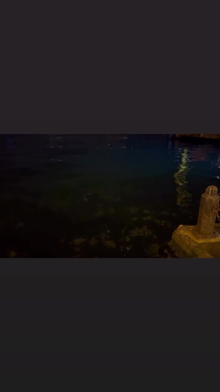 Post 2 by Mass Kuaför Salih Kurt on Instagram (video)