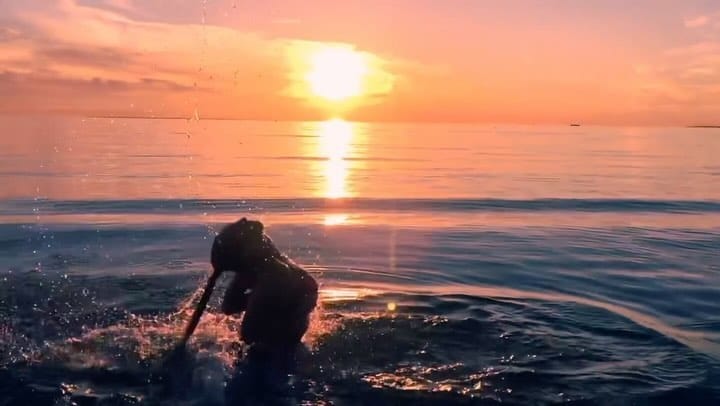 Post 10 by 𝓥𝓲𝓴𝓽𝓸𝓻𝓲𝓪 𝓑𝓸𝓰𝓭𝓪𝓷𝓸𝓿𝓪 on Instagram (video)
