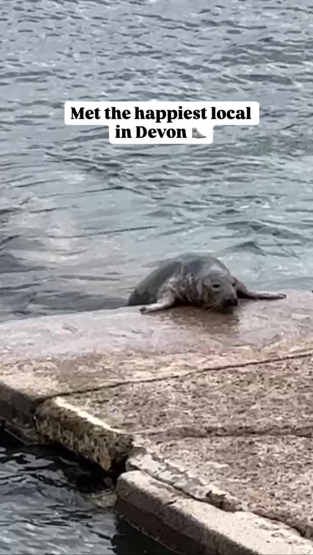 Post 4 by Oksana 📍Royal William Yard🇬🇧 on Instagram (video)