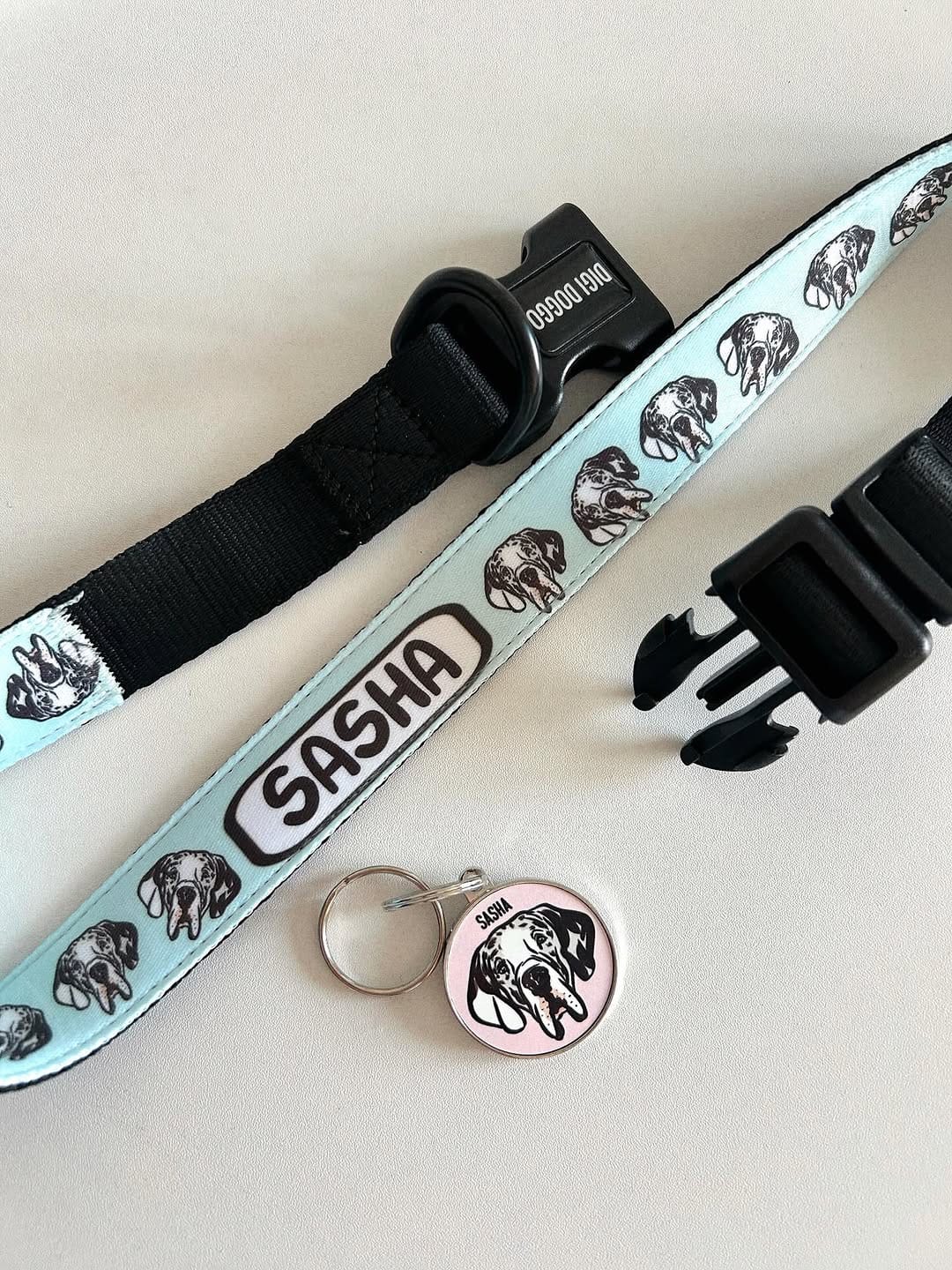 Post 6 by Digi Doggo on Instagram (image)