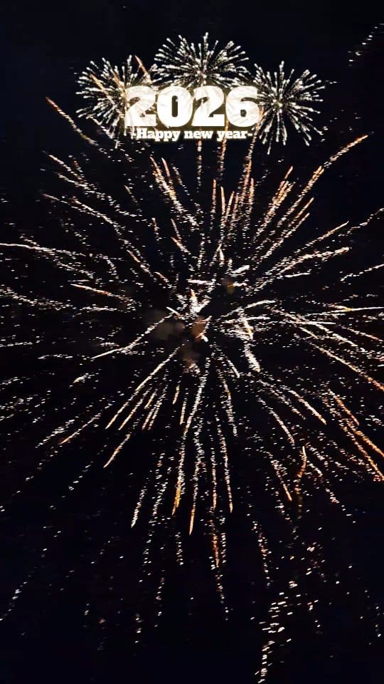 Post 1 by Olga Allikson on Instagram (video)