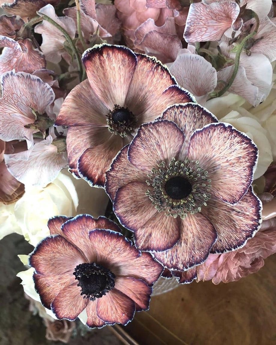 Post 9 by Tülin Gülhan Haute Couture & Bridal on Instagram (image)