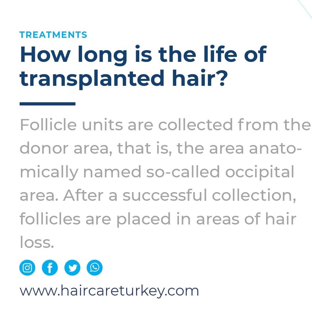 Post 7 by Hair Care Turkey on Instagram (image)