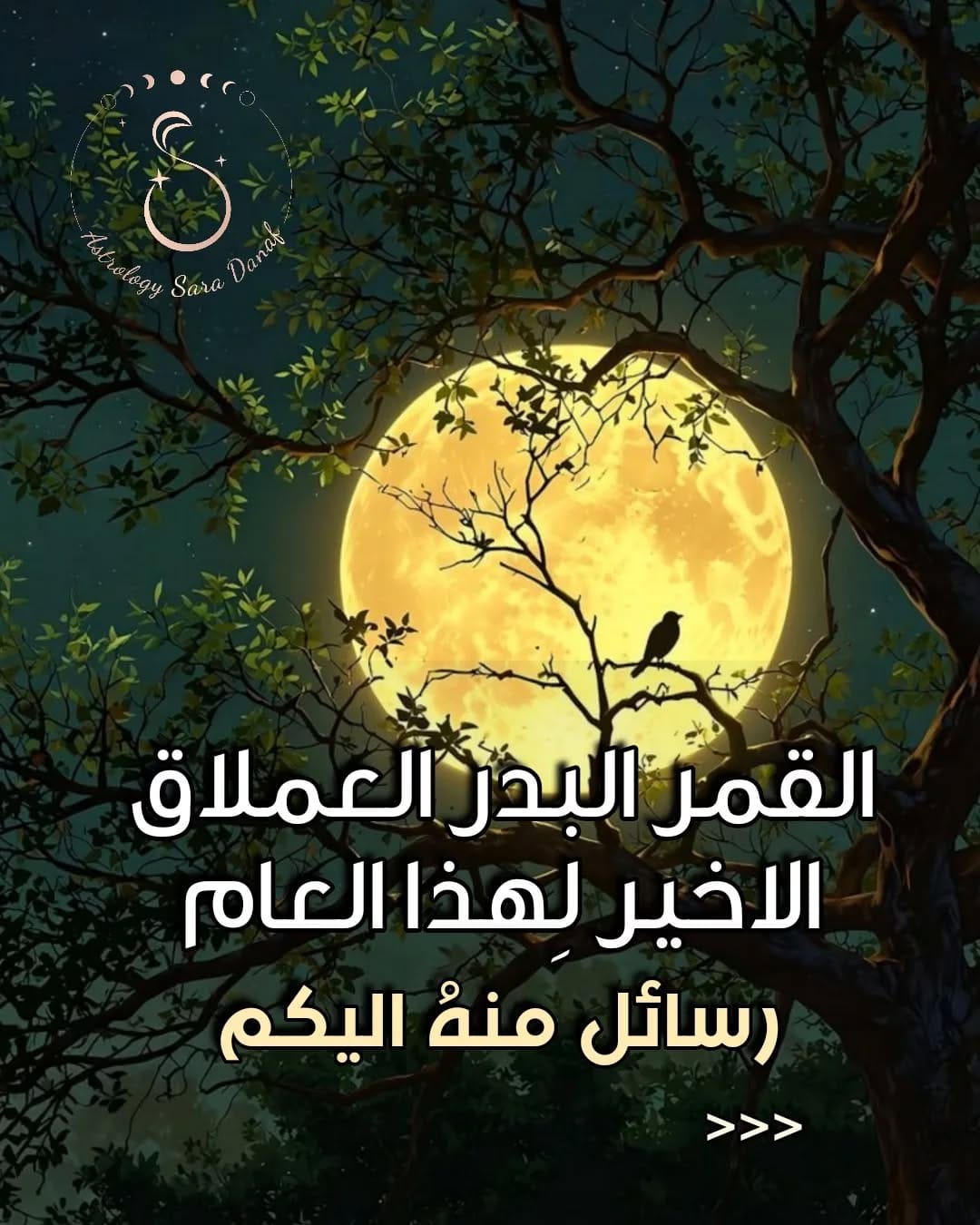 Post 7 by 𝐒𝐚𝐫𝐚 𝐃𝐚𝐧𝐚𝐟 𝐀𝐬𝐭𝐫𝐨𝐥𝐨𝐠𝐲 | Horoscope & more on Instagram (carousel)