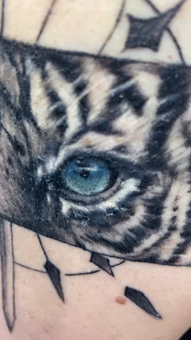 Post 8 by Cemal Arabaci on Instagram (video)