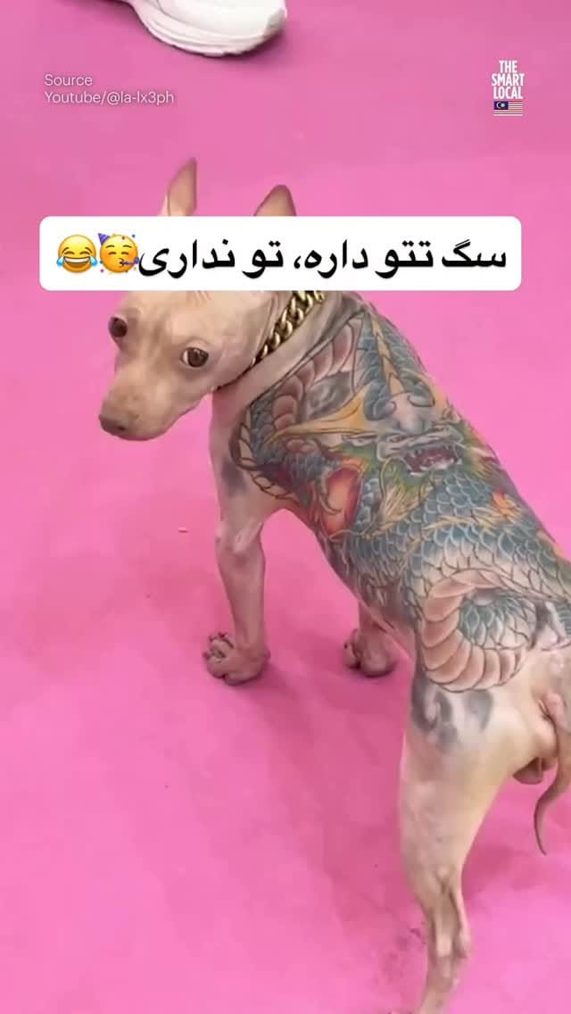 Post 6 by Leontattoo on Instagram (video)
