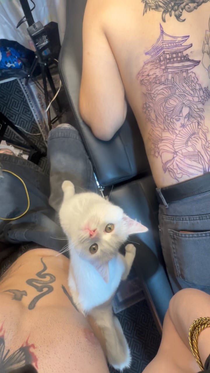 Post 5 by Leontattoo on Instagram (video)