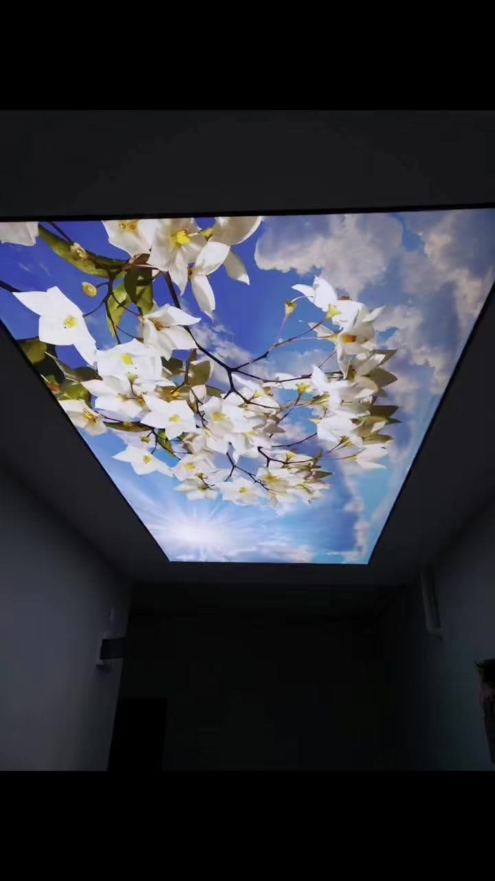 Post 9 by Gergimax Samsun FATİH ÜLKER on Instagram (video)