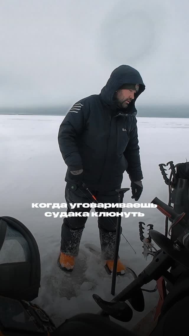 Post 1 by Volga Baits | рыбалка на спиннинг | опт on Instagram (video)