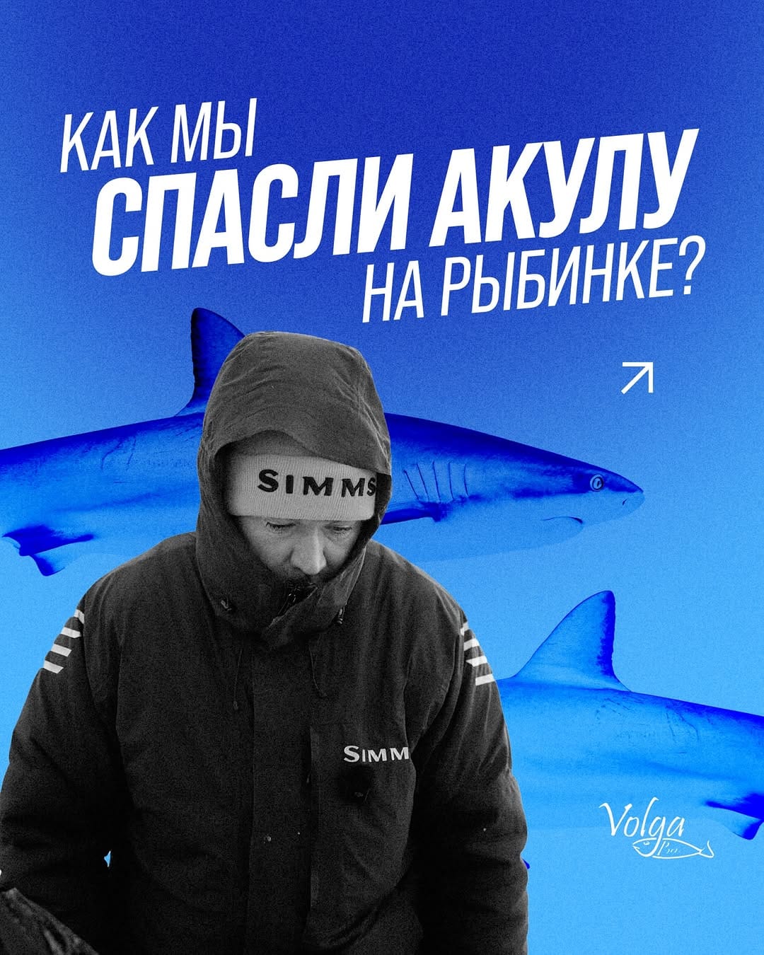 Post 4 by Volga Baits | рыбалка на спиннинг | опт on Instagram (carousel)