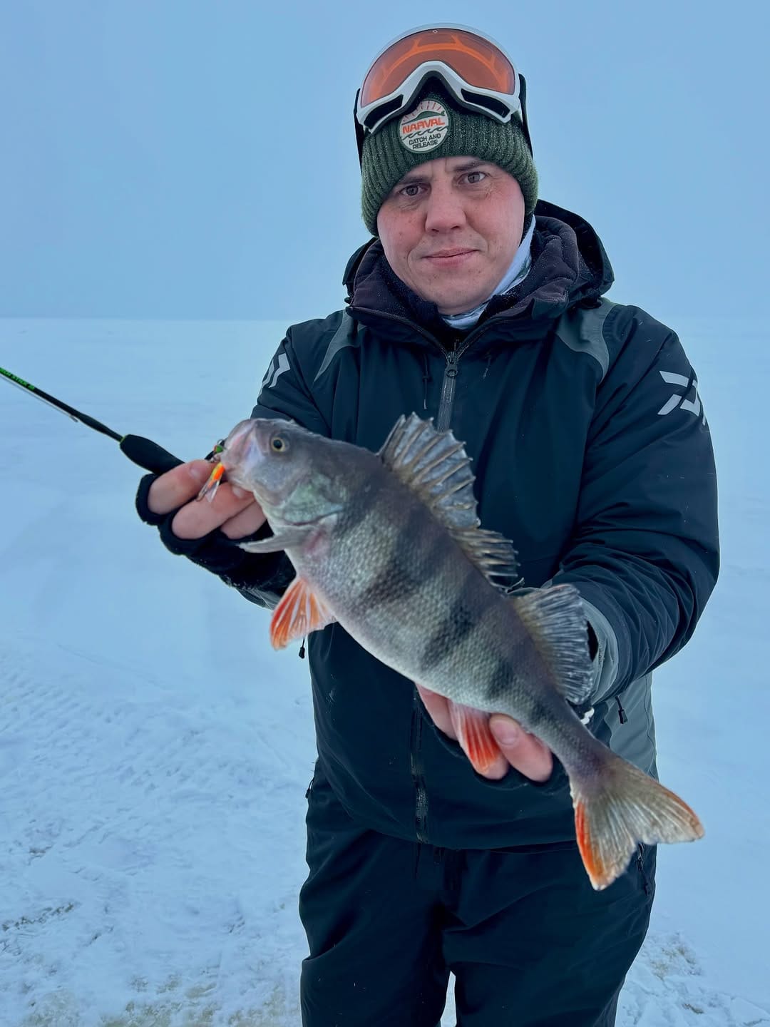 Post 3 by Volga Baits | рыбалка на спиннинг | опт on Instagram (carousel)