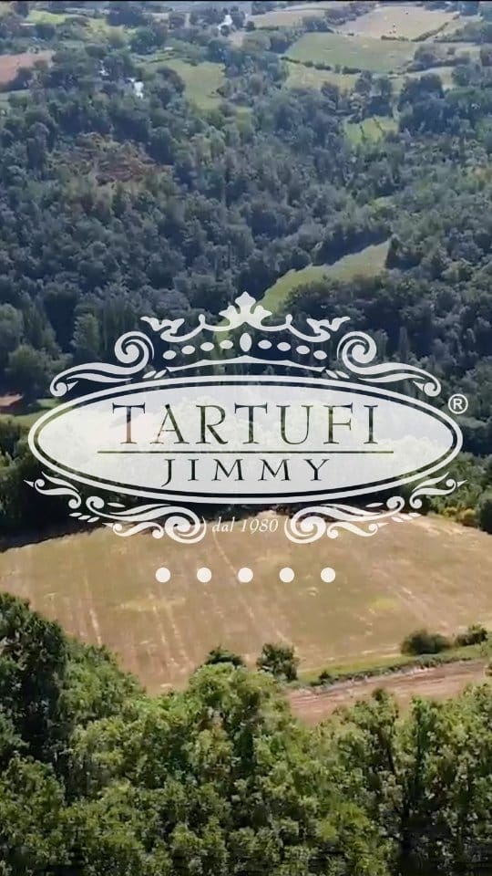 Post 8 by Tartufi Jimmy on Instagram (video)