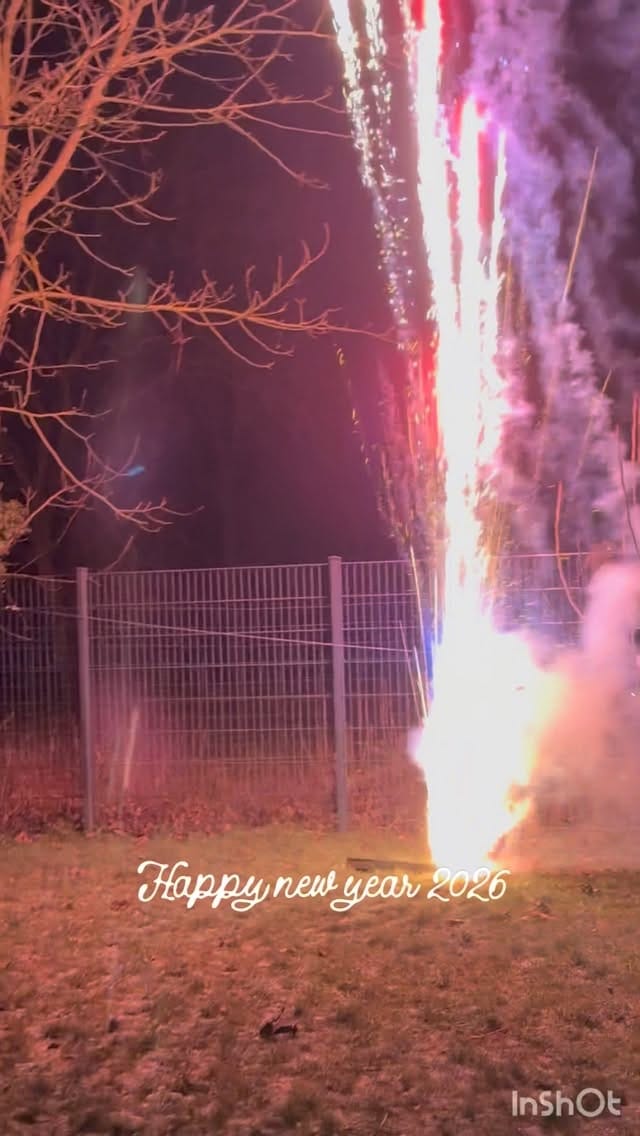Post 7 by Udaya on Instagram (video)