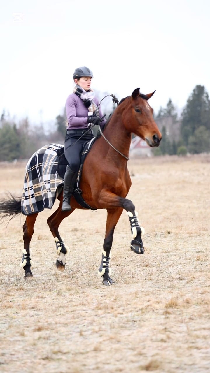 Post 8 by Lana | International Rider & Trainer, Ethical Horsemanship on Instagram (video)