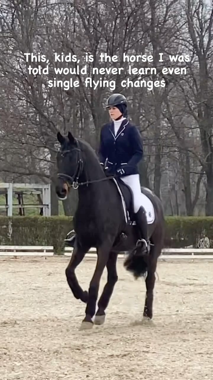 Post 10 by Lana | International Rider & Trainer, Ethical Horsemanship on Instagram (video)