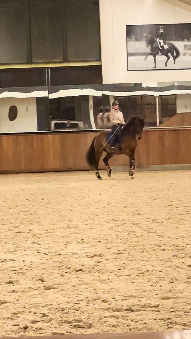 Post 1 by Lana | International Rider & Trainer, Ethical Horsemanship on Instagram (video)