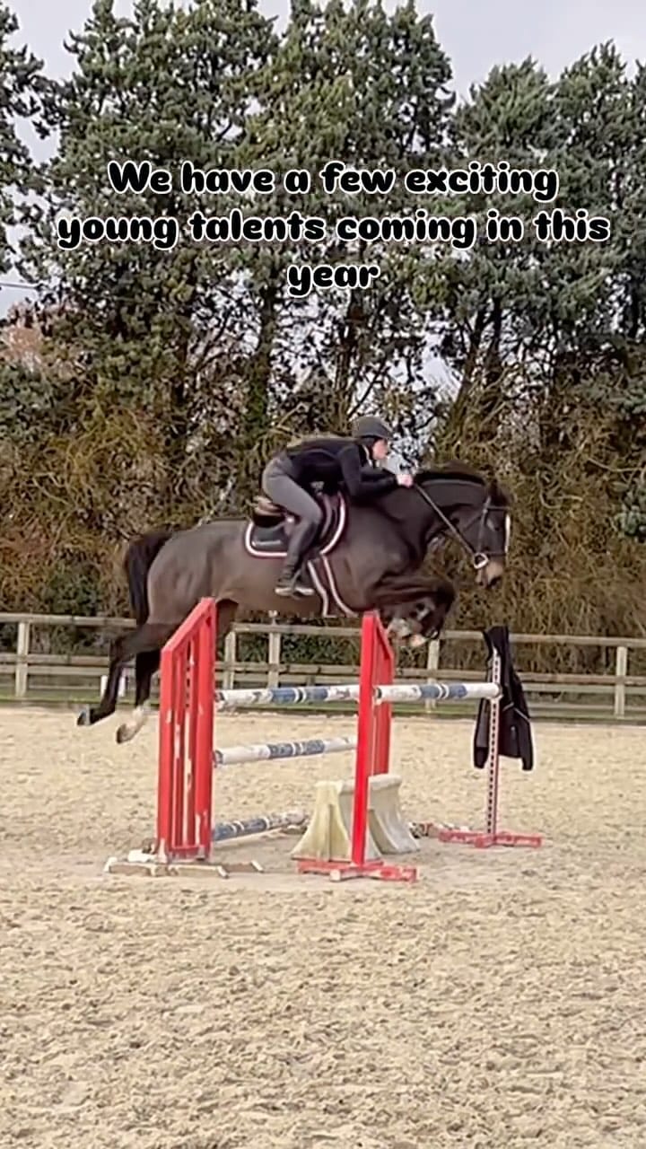 Post 9 by Lana | International Rider & Trainer, Ethical Horsemanship on Instagram (video)