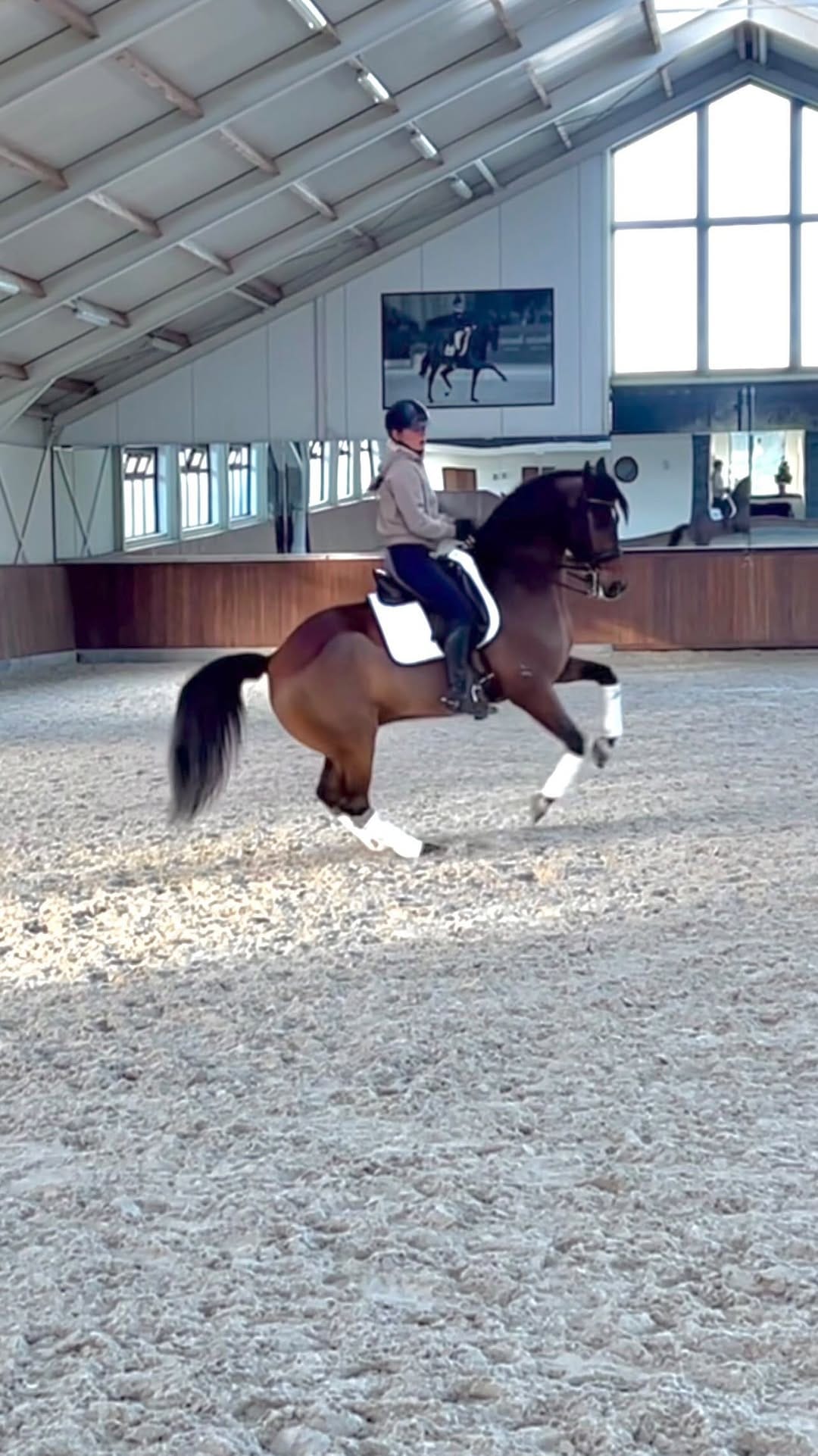 Post 4 by Lana | International Rider & Trainer, Ethical Horsemanship on Instagram (video)
