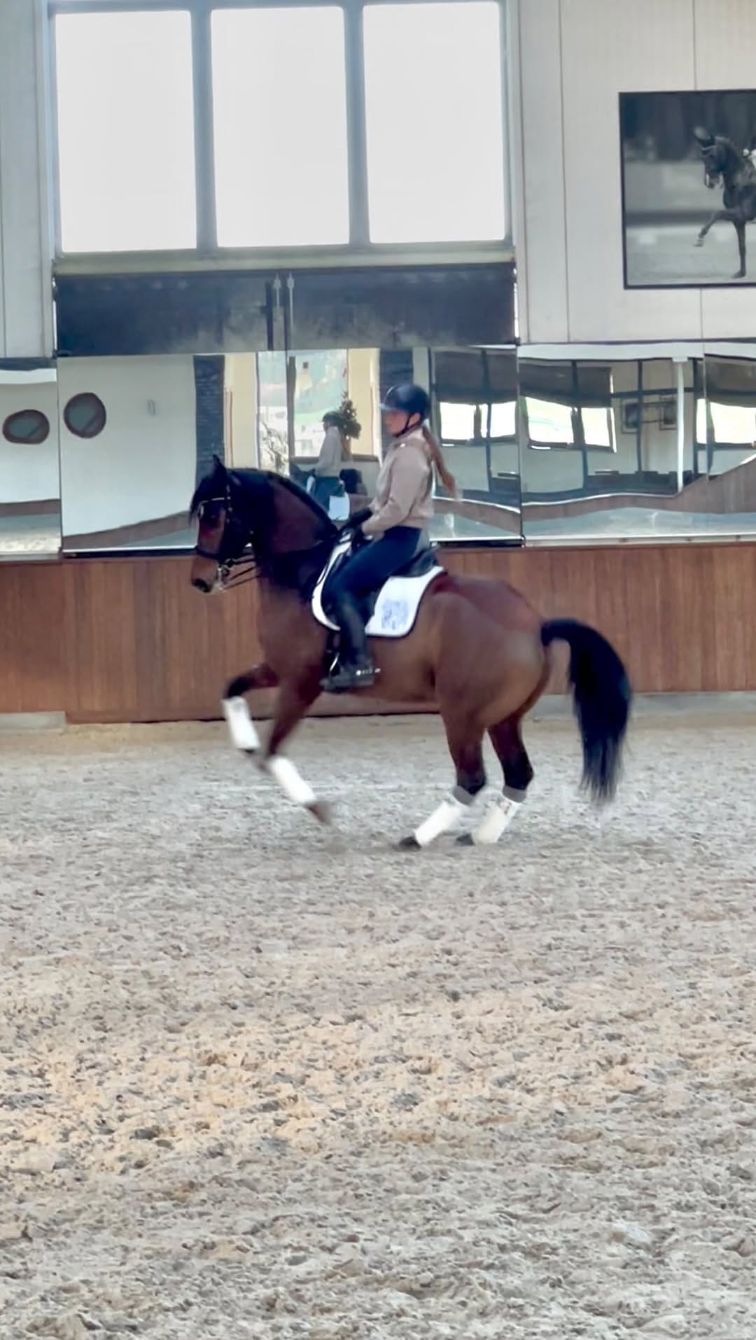 Post 6 by Lana | International Rider & Trainer, Ethical Horsemanship on Instagram (video)