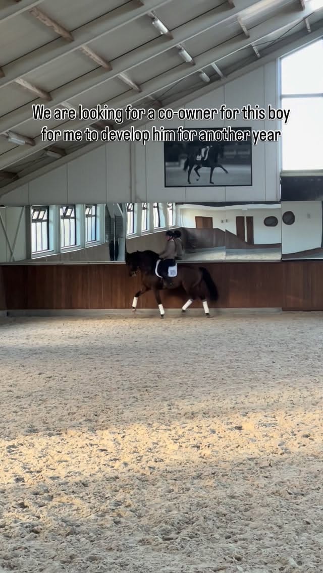Post 3 by Lana | International Rider & Trainer, Ethical Horsemanship on Instagram (video)