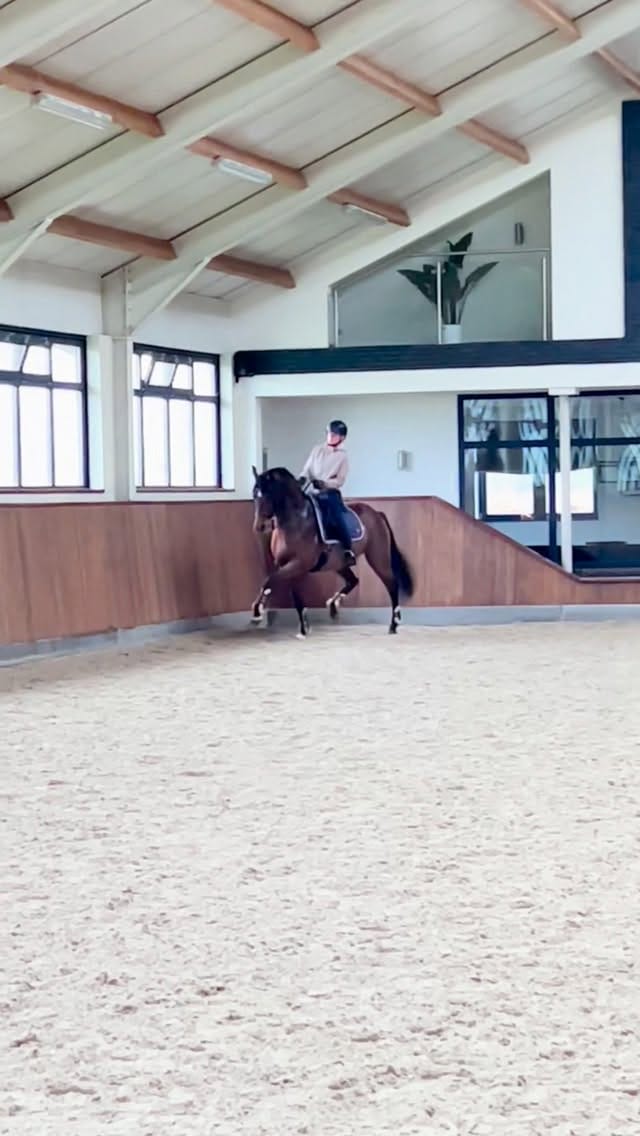 Post 7 by Lana | International Rider & Trainer, Ethical Horsemanship on Instagram (video)