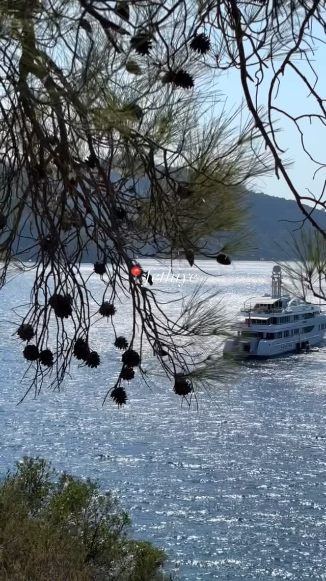 Post 2 by @tuvisual on Instagram (video)