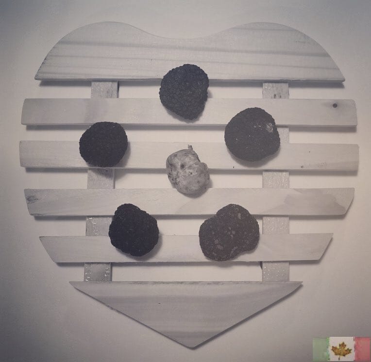 Post 3 by La Tarantella Truffle on Instagram (image)