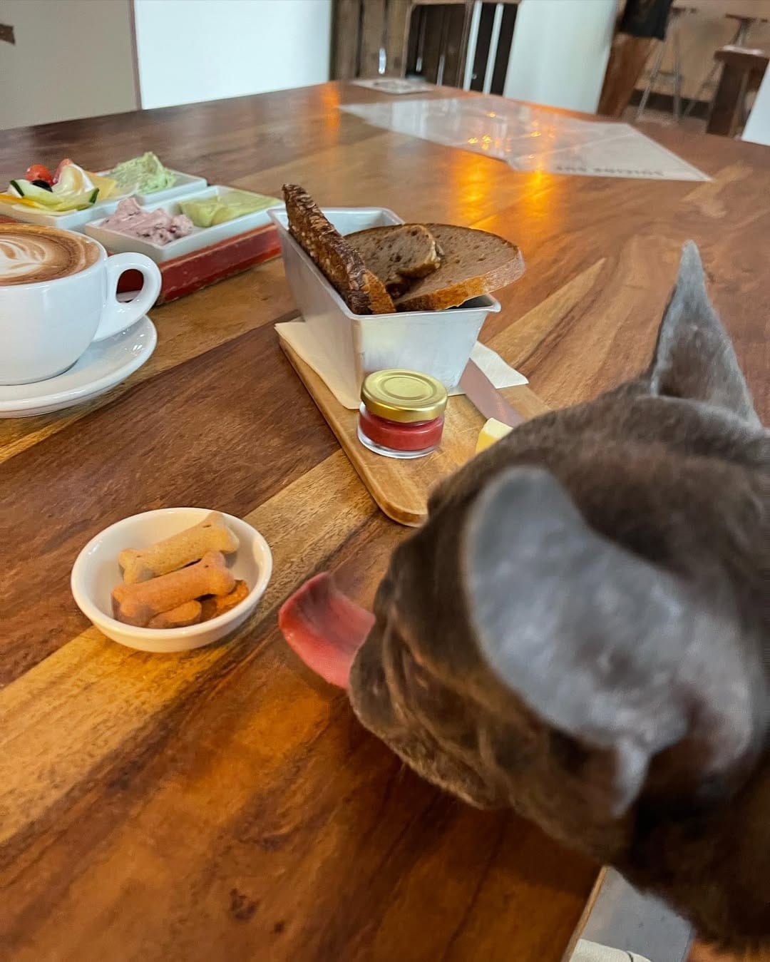 Post 8 by Ruby Blue Frenchie on Instagram (image)