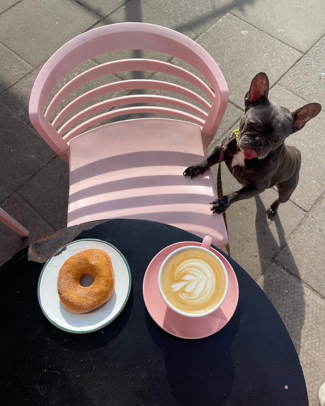 Post 3 by Ruby Blue Frenchie on Instagram (carousel)
