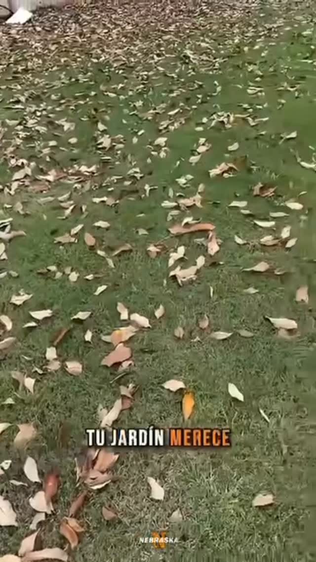 Post 6 by ferreteria lavalle on Instagram (video)