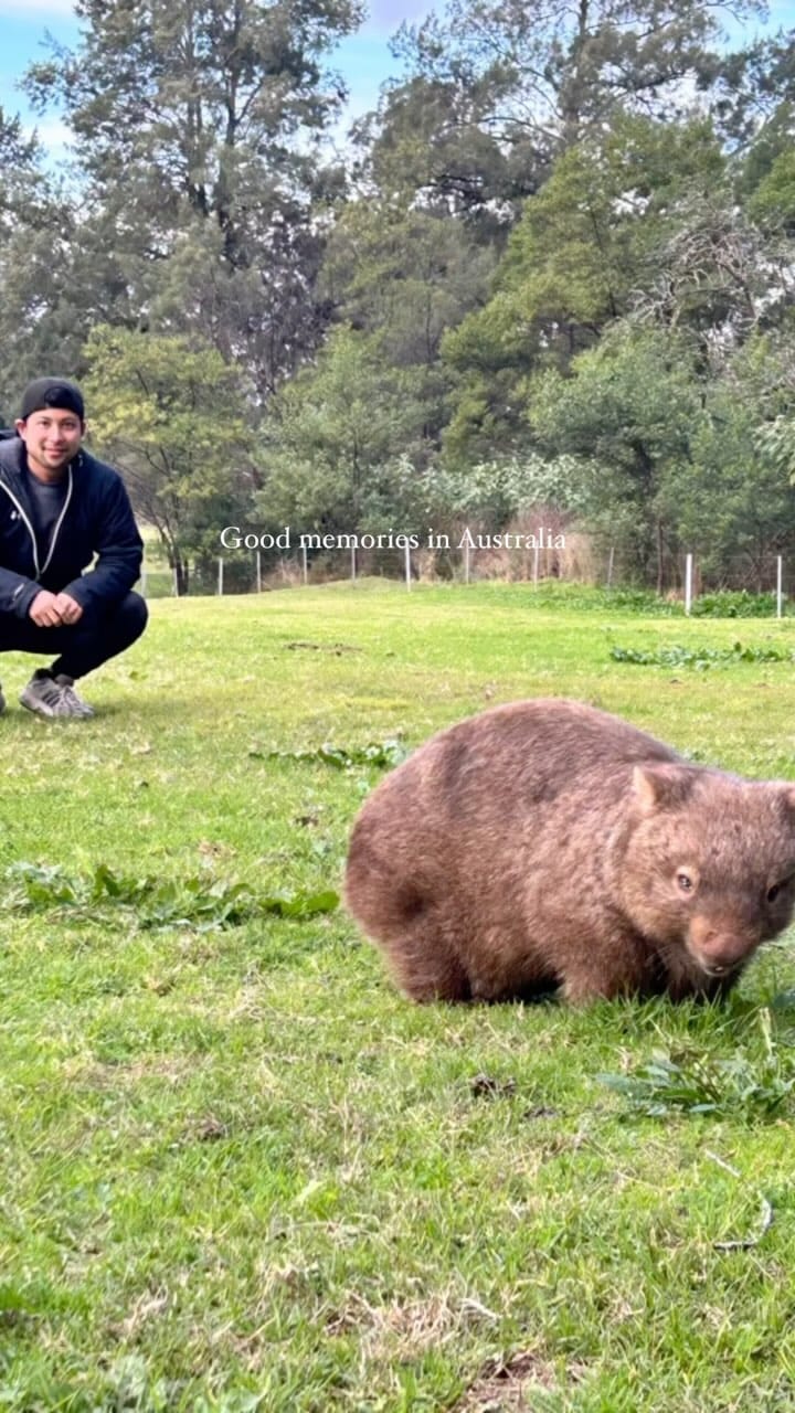 Post 9 by MIZUKI on Instagram (video)