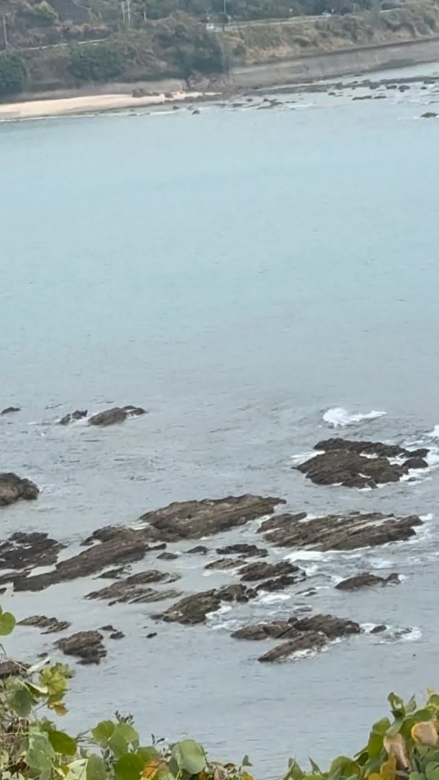 Post 2 by Fumio Hatanaka on Instagram (video)